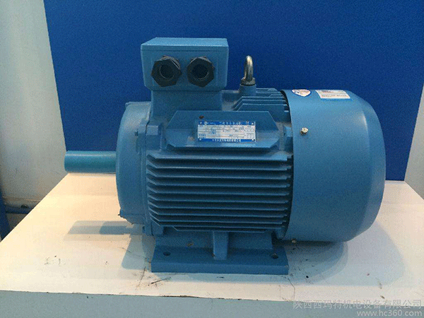 高效節能電機是西安泰富西瑪未來商業發展的方向。